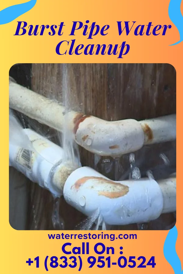 Burst Pipe Water Cleanup in Homedale, ID